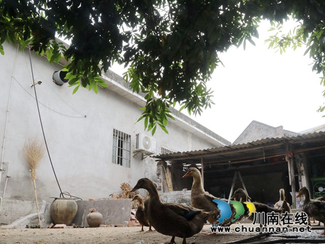 走进龙马潭区，不论是房前屋后、家庭农场还是产业基地，家家户户门口都安装着摄像头，构建起农村第一张普及到家庭的视频防控网，打通了治安防控“最后一公里”。 (1).JPG