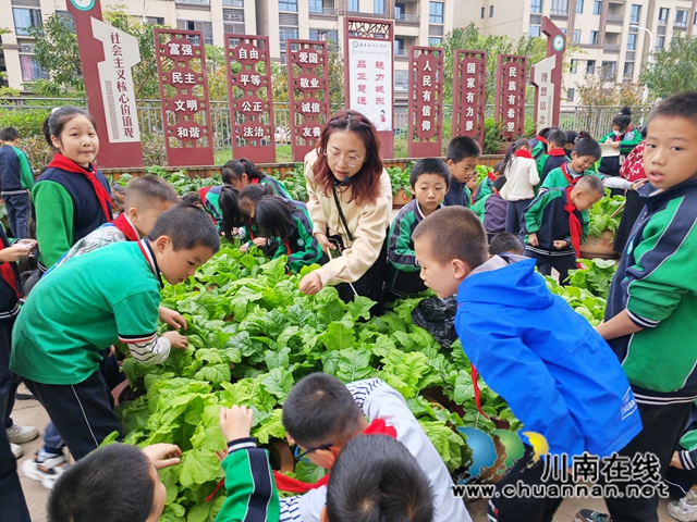 师生观察蔬菜（曾佐然摄）.jpg