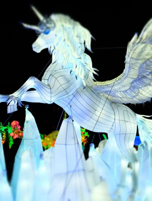 自贡彩灯又去美国了!(图2) 2.jpg