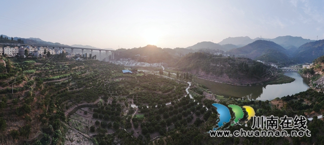 永吉椪柑 (11).JPG