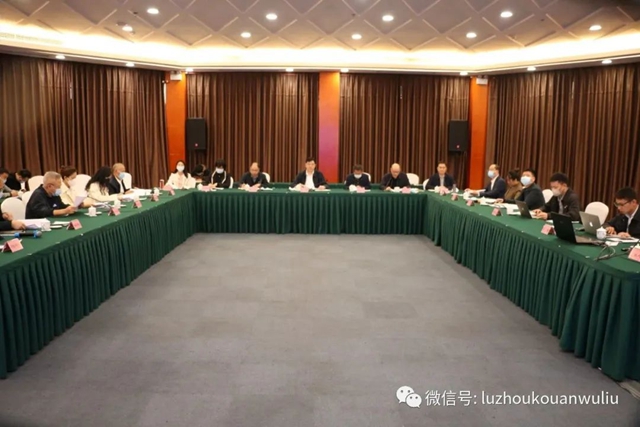 泸州市口岸物流办召开《以泸州港为依托的口岸经济发展策略研究》评审会(图3) 评审3.jpg