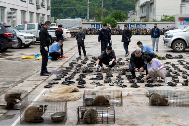 开服装店为买卖野生动物“打掩护” 叙永这对夫妻遭起！