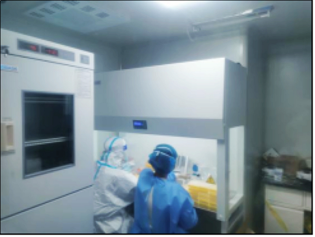 日检核酸样本1万管!内江市中区移动PCR实验室正式启用——(图3) nEO_IMG_6.jpg