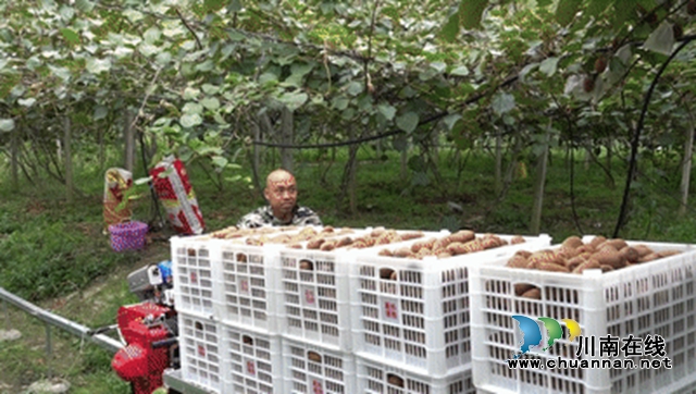 产业兴 安居乐 人才足|古蔺县:解锁群众幸福密码(图2) 动图_副本.jpg