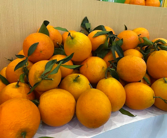 泸州展馆精彩亮相四川农博会(图9) 1-9.jpg