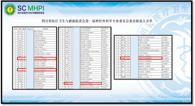 西南医大附院陈礼刚教授当选省医疗卫生与健康促进会神外专委会首任主任委员(图5) 5.jpg