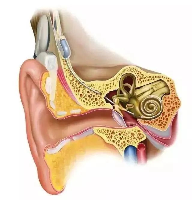 【围观】5岁女孩弄丢30万?(图3) 女孩3.jpg