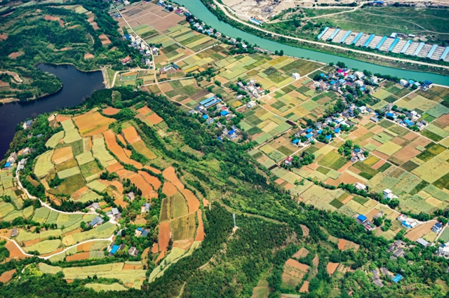 四川向实际种粮农民发放补贴(图2) 粮2.jpg