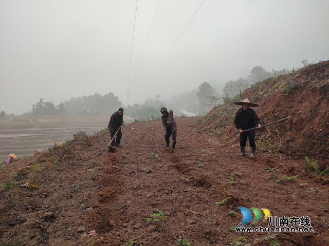 合江县榕山镇:乡贤主动作为,确保耕地“进出平衡”(图2) 地2.png