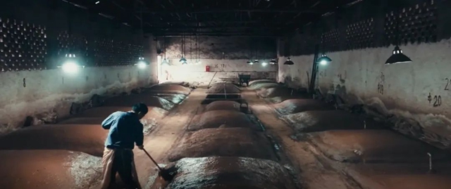 千年浓香醉宜宾 | 倒计时10天!这场新闻发布会剧透了名酒博览会哪些信息?(图7) 7.jpg