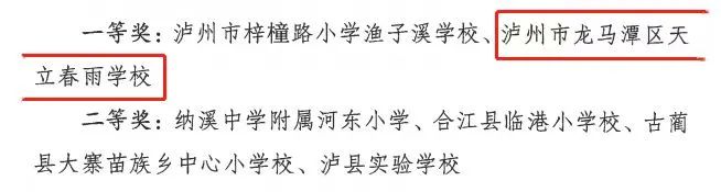 3个一等奖!龙马潭区学校又获市级荣誉啦!(图1) 报1.jpg