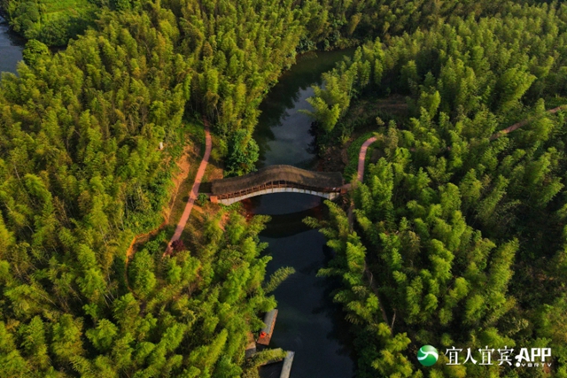 优惠来啦！宜宾5个景区门票1元购！