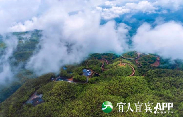 风景4.jpg