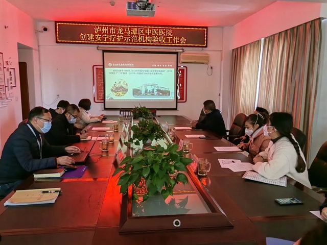 龙马潭区中医医院院接受安宁疗护示范机构验收评审