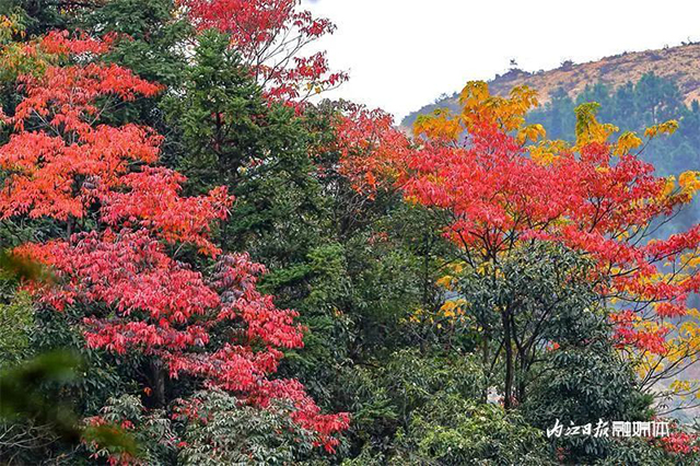 美得像童话!内江这里“红”了——(图2) 2.jpg