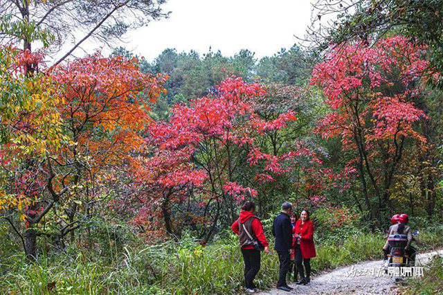 美得像童话!内江这里“红”了——(图4) 4.jpg