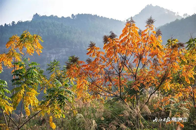 美得像童话!内江这里“红”了——(图5) 5.jpg