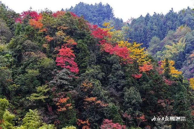 美得像童话!内江这里“红”了——(图8) 8.jpg