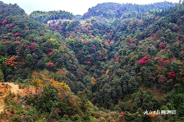 美得像童话!内江这里“红”了——(图11) 11.jpg