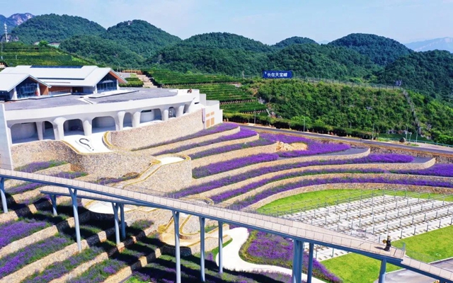 网红打卡地来了!郎酒庄园这处新地标真美(图3) 3.jpg