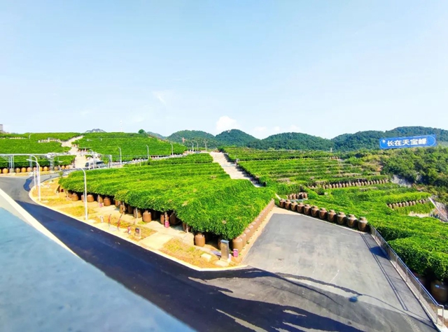 网红打卡地来了!郎酒庄园这处新地标真美(图20) 20.jpg