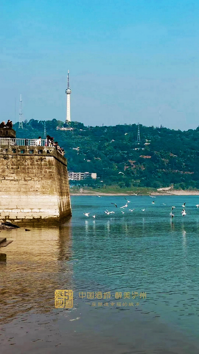 进来看“小精灵”!(图4) nEO_IMG_3.jpg