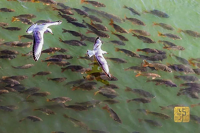 进来看“小精灵”!(图5) nEO_IMG_4.jpg