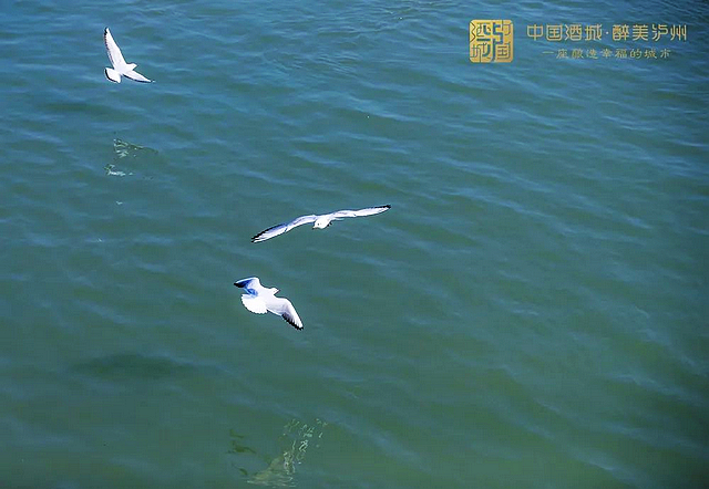 进来看“小精灵”!(图11) nEO_IMG_10.jpg