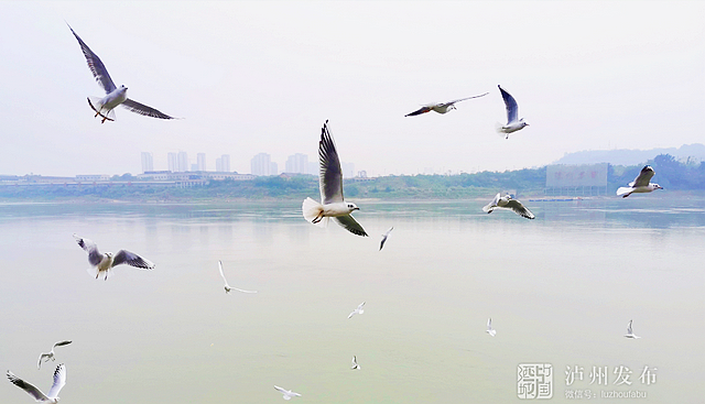 进来看“小精灵”!(图13) nEO_IMG_12.jpg