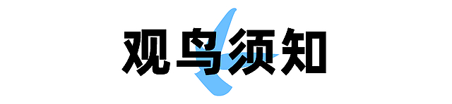 进来看“小精灵”!(图15) nEO_IMG_14.jpg