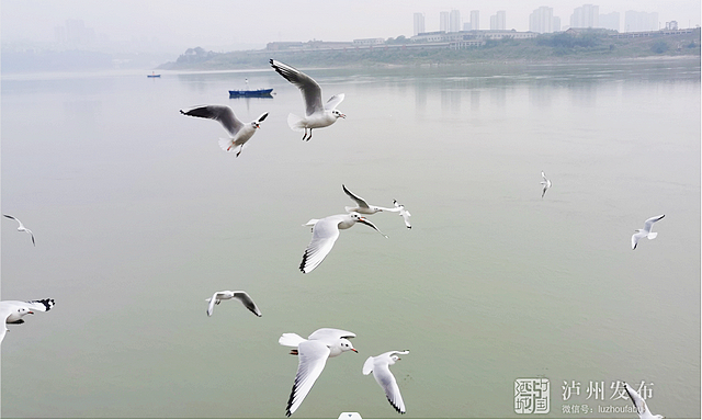 进来看“小精灵”!(图14) nEO_IMG_13.jpg