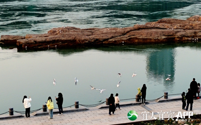 宜宾:西部崛起的“梦想之城”(图6) 6.jpg