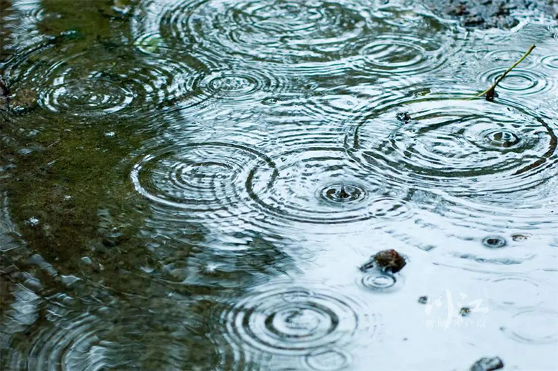 阴雨天为主丨泸州元旦假期天气预报来了