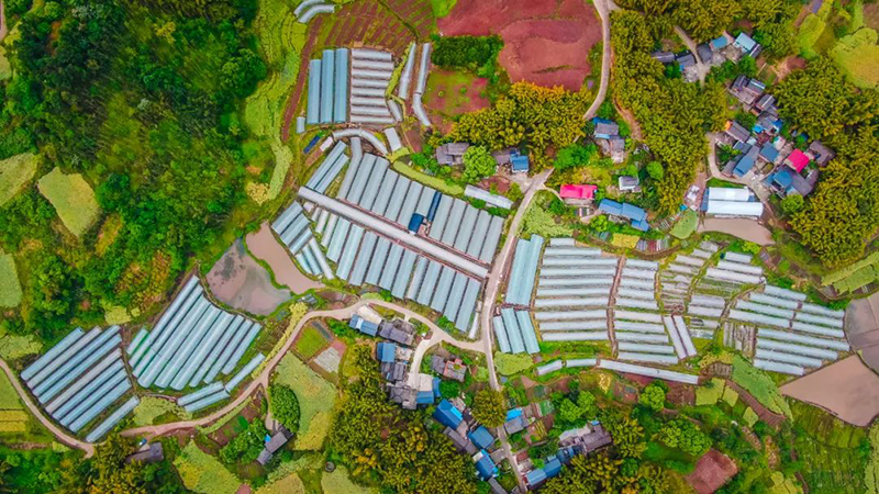 自贡：铺就平坦农村路 叩开村民“幸福门”