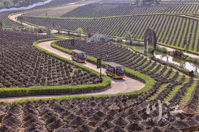 泸州,2022丨“一体两翼”收获满满!(图16) 16.jpg