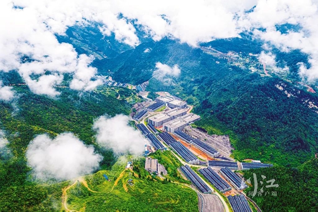 泸州,2022丨“一体两翼”收获满满!(图20) 20.jpg