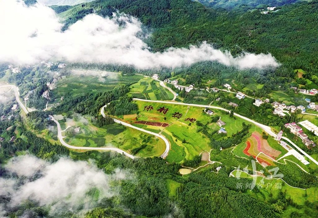 泸州,2022丨“一体两翼”收获满满!(图22) 22.jpg