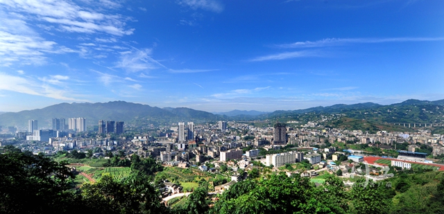 泸州,2022丨“一体两翼”收获满满!(图25) 25.jpg