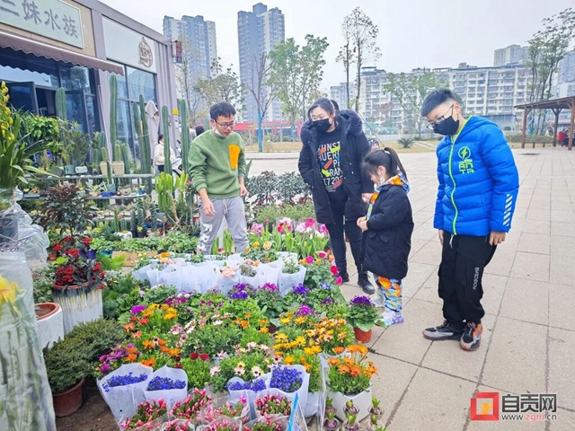 元旦假期,自贡文旅市场逐步复苏(图8) 8.jpg