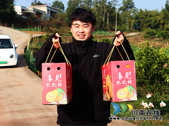 泸县立石镇:橘黄满园香,果农采摘忙(图10) IMG_4084_副本.jpg