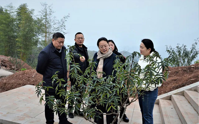 刘著到联系村开展春节前走访慰问(图3) 3.jpg