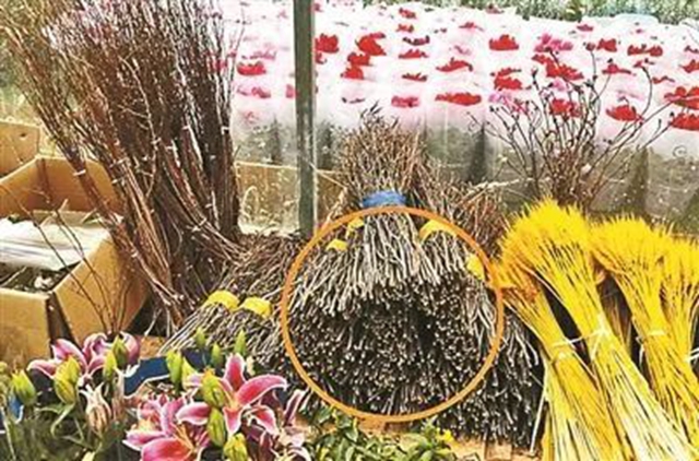 【注意】春节临近，不要买它！有毒，还违法