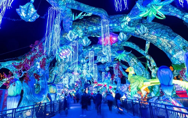 第29届自贡国际恐龙灯会开幕!(图21) 21.jpg