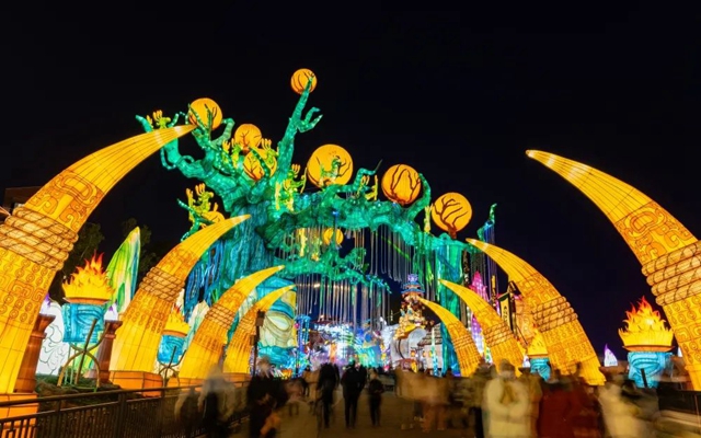 第29届自贡国际恐龙灯会开幕!(图22) 22.jpg