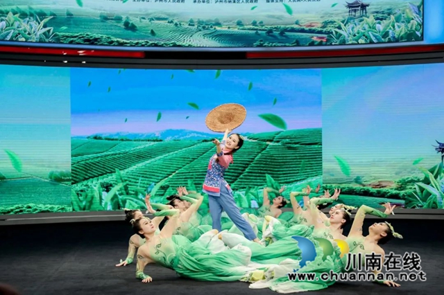 中国泸州纳溪特早茶新茶上市媒体见面会在北京举行(图10) 10.jpg