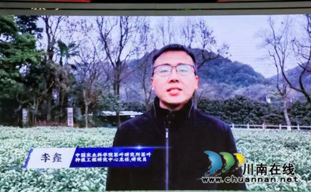 中国泸州纳溪特早茶新茶上市媒体见面会在北京举行(图15) 15.jpg