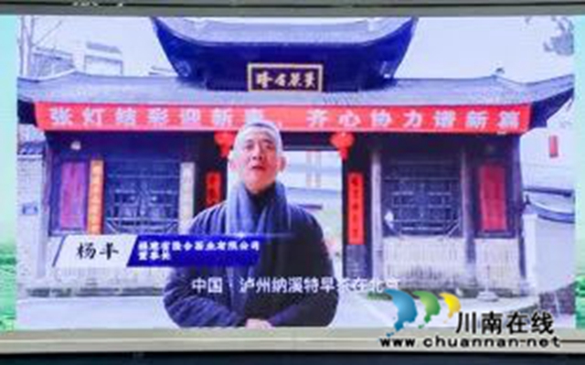 中国泸州纳溪特早茶新茶上市媒体见面会在北京举行(图16) 16.jpg