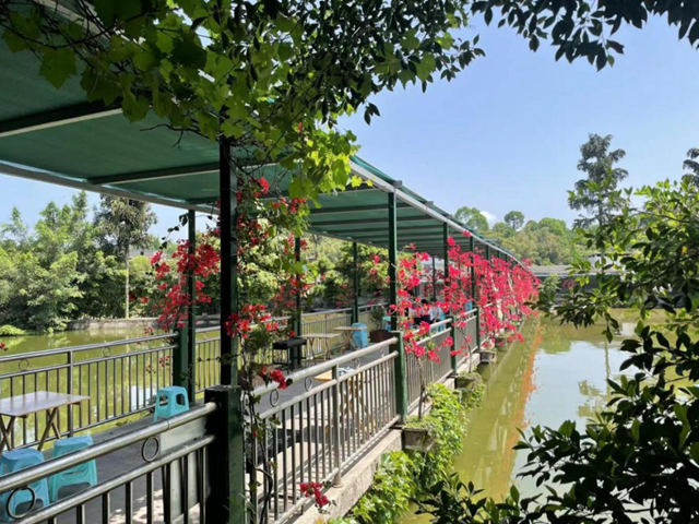 醉喜江阳年 春节天天乐 | 打卡酒香邻玉,品味幸福江阳(图2) 2.png