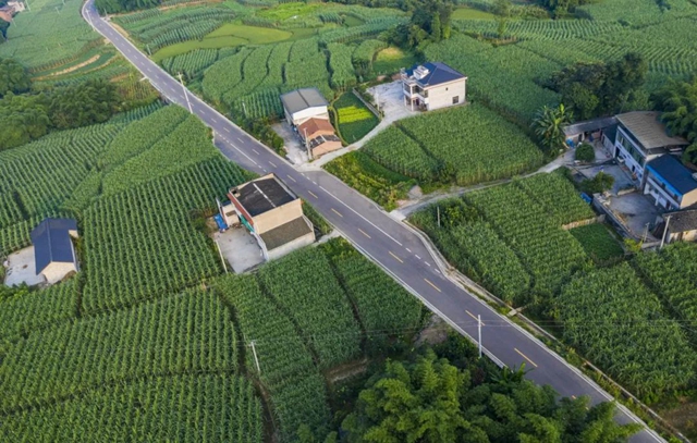 江北2.jpg