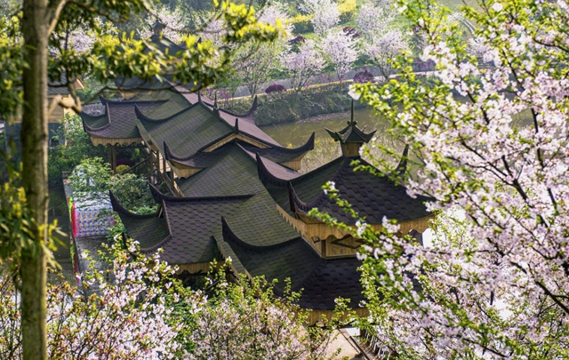 醉喜江阳年 春节天天乐 | 正月十二，来丹林赏花踏青！